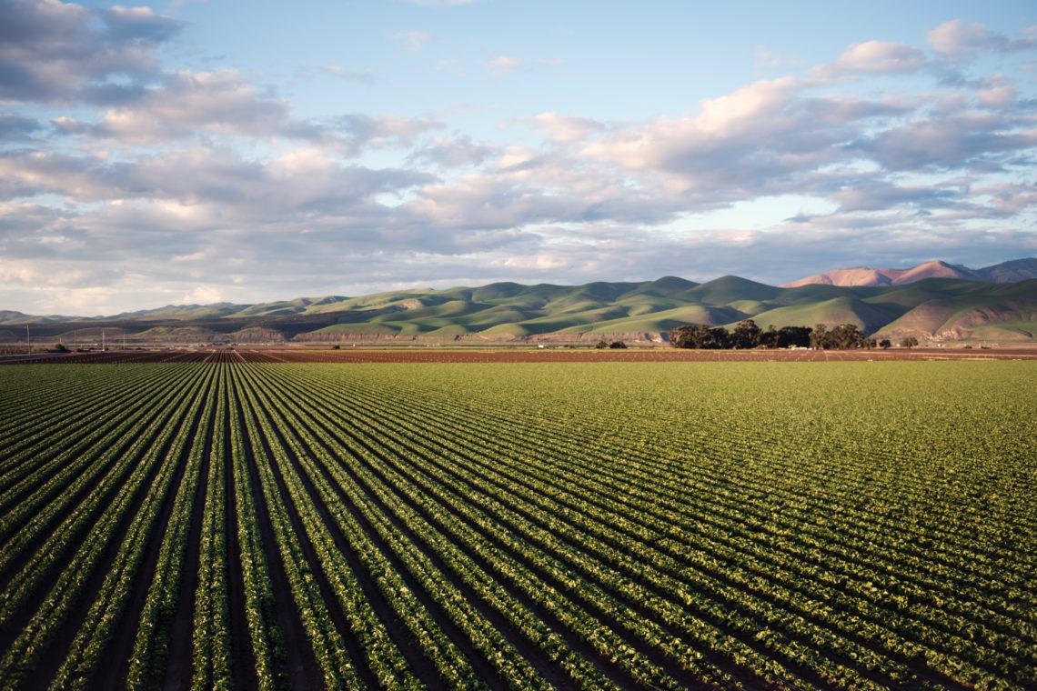 RadioMarocCulture Photo Of Green Field Near Mountains 974314