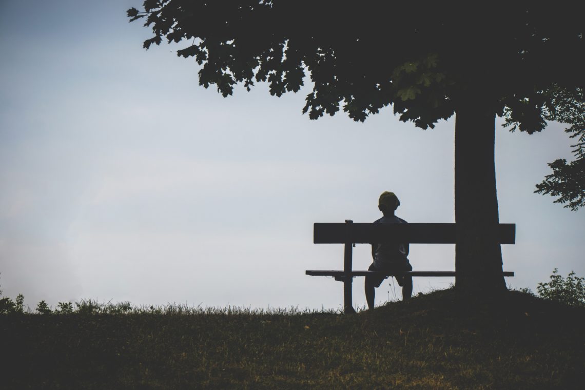 RadioMarocCulture Person Sitting On Bench Under Tree 1280162 1