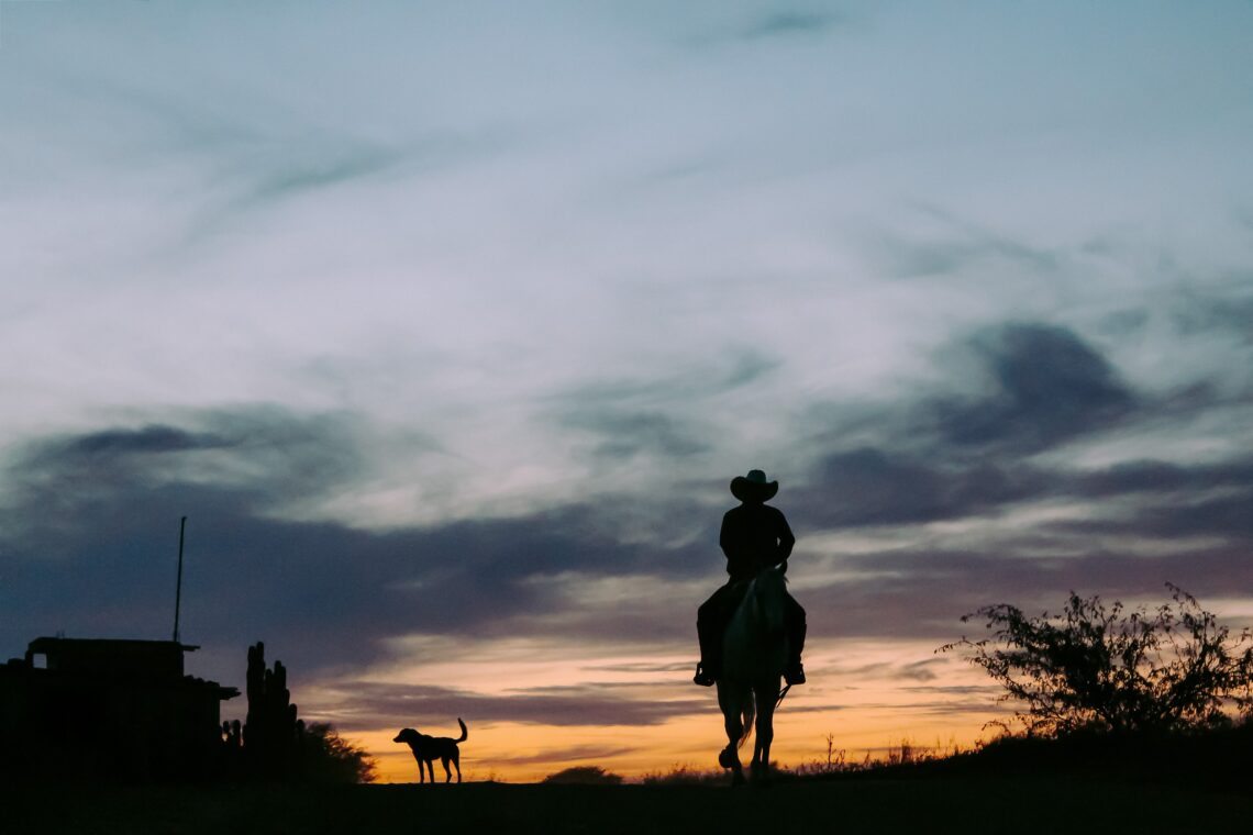 RadioMarocCulture Silhouette Of Person Riding Horse 2618372